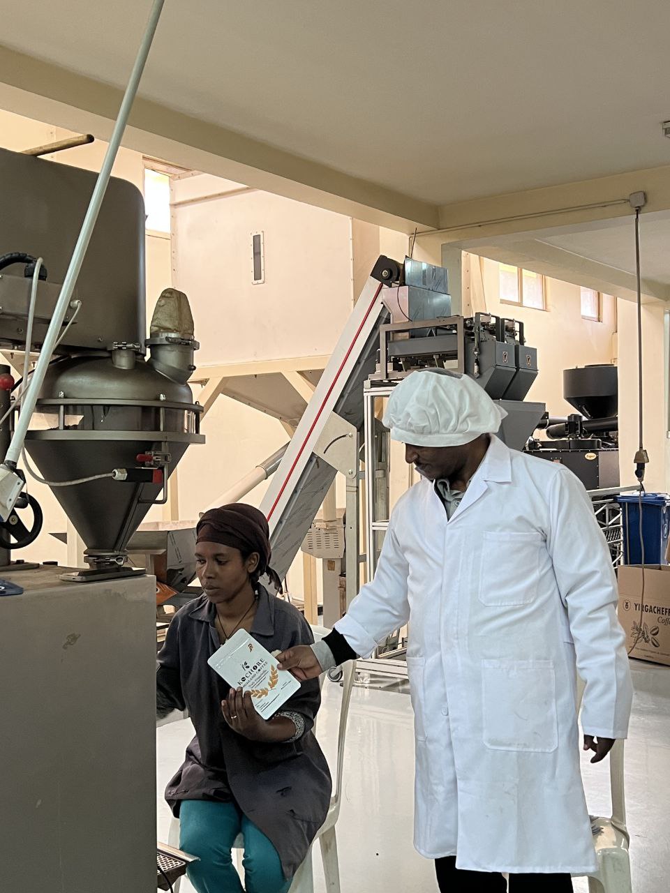 Perfect Brewing Guide